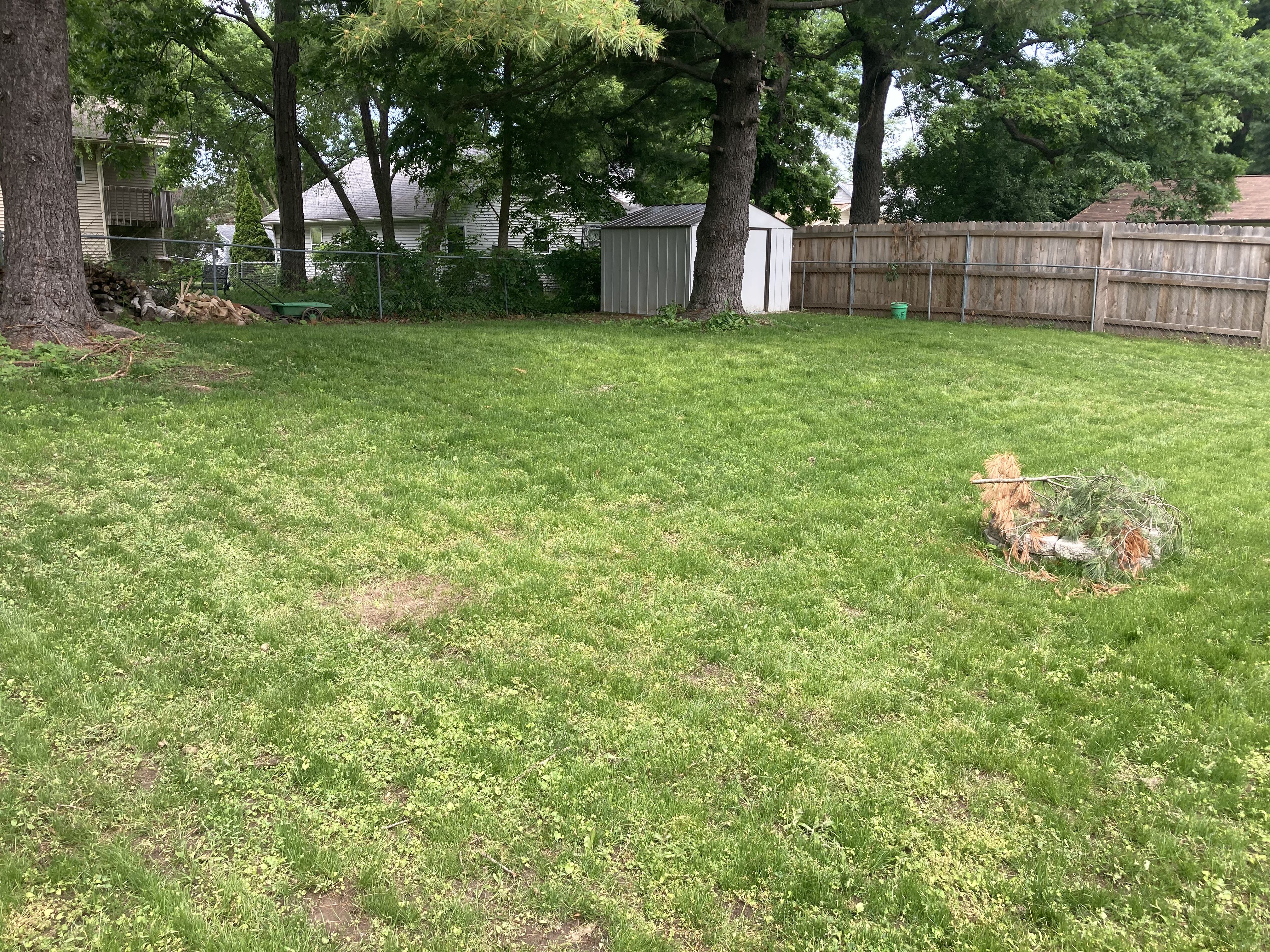 The grass is established and mowed